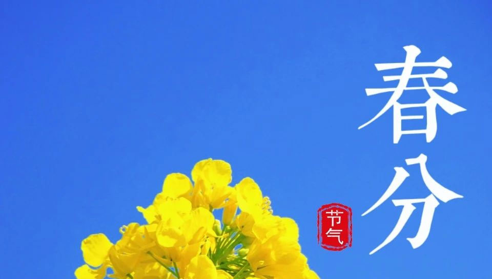 愛(ài)生活 愛(ài)簡(jiǎn)小葉|春分茶事：一杯春意，半盞清歡