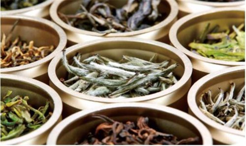 開(kāi)卷有益｜放肆的想象力 奇妙的調(diào)配茶