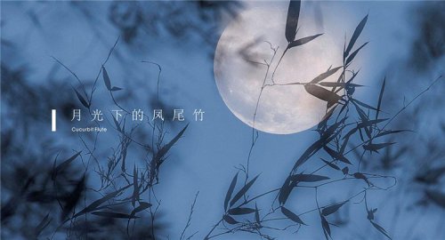 古典音樂(lè)鑒賞｜以古琴演繹著名的傣族樂(lè)曲《月光下的鳳尾竹》