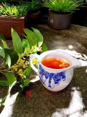 簡(jiǎn)小葉放肆語(yǔ)錄|做人有底線(xiàn) 做事有始終