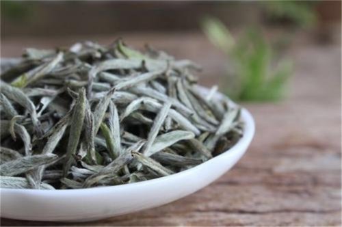 簡(jiǎn)小葉說(shuō)茶|不同品類(lèi)白茶的不同泡法：白毫銀針